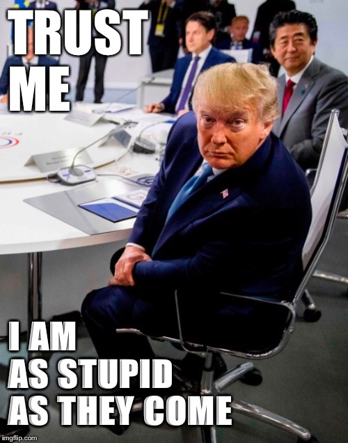 International Man of Stupidity | TRUST 
ME; I AM
AS STUPID 
AS THEY COME | image tagged in international man of stupidity | made w/ Imgflip meme maker