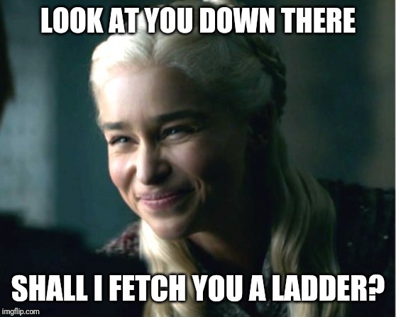 Daenerys smile | LOOK AT YOU DOWN THERE; SHALL I FETCH YOU A LADDER? | image tagged in daenerys smile | made w/ Imgflip meme maker