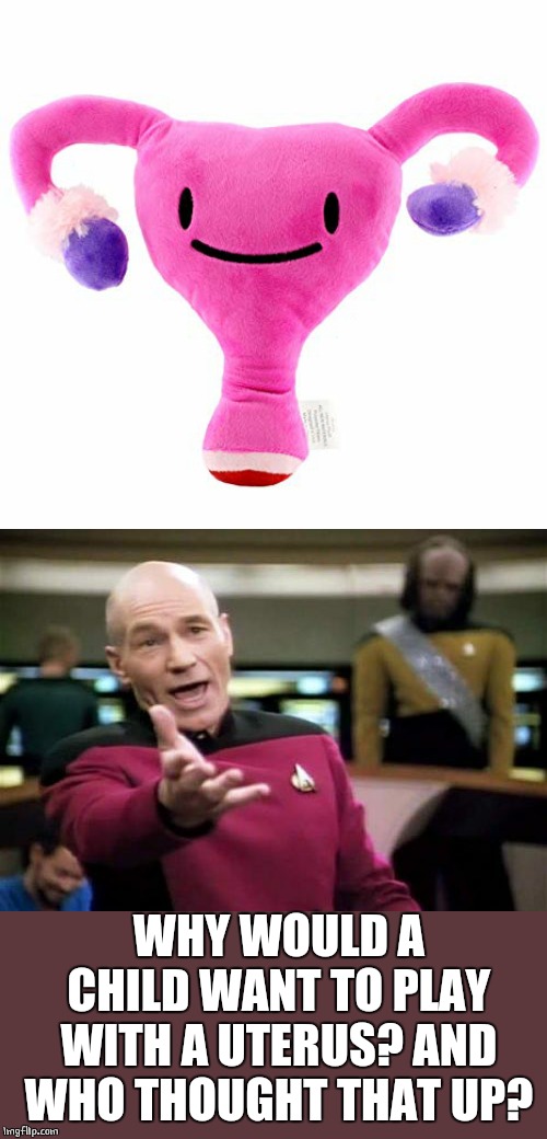 WHY WOULD A CHILD WANT TO PLAY WITH A UTERUS? AND WHO THOUGHT THAT UP? | image tagged in memes,picard wtf,wtf,fail | made w/ Imgflip meme maker