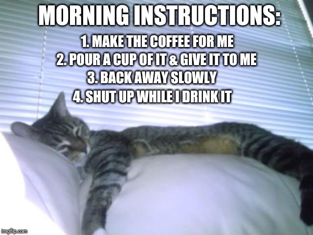 Coffee | 1. MAKE THE COFFEE FOR ME; MORNING INSTRUCTIONS:; 2. POUR A CUP OF IT & GIVE IT TO ME; 3. BACK AWAY SLOWLY; 4. SHUT UP WHILE I DRINK IT | image tagged in coffee,coffee addict,coffee time,mornings,i don't do mornings | made w/ Imgflip meme maker