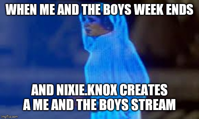 princess leia only hope | WHEN ME AND THE BOYS WEEK ENDS; AND NIXIE.KNOX CREATES A ME AND THE BOYS STREAM | image tagged in princess leia only hope | made w/ Imgflip meme maker