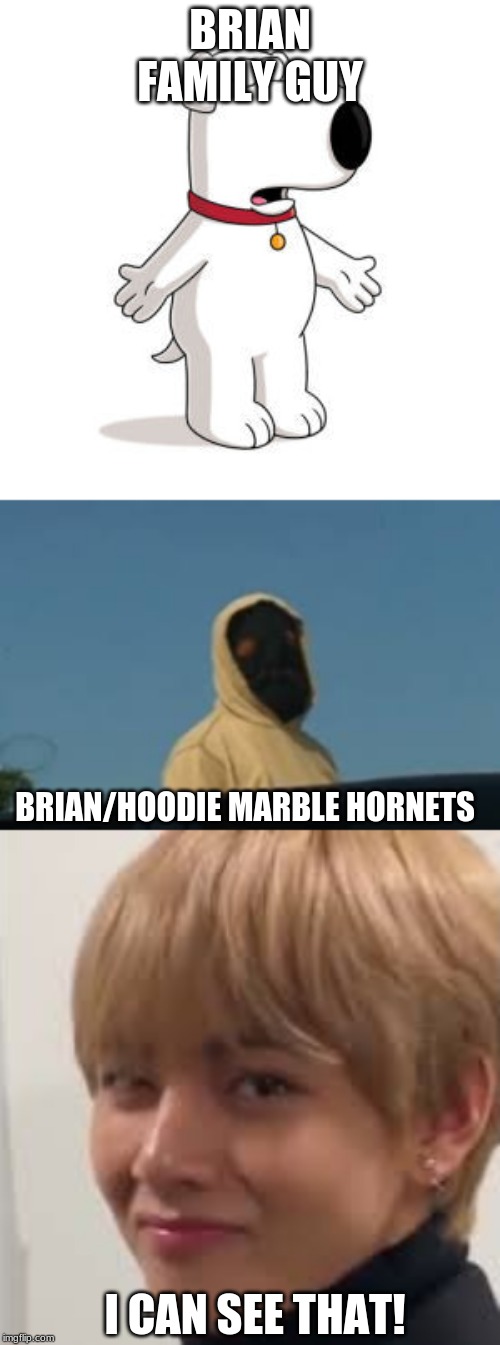 Spoilers for people who didn't watch Marble Hornets! | BRIAN FAMILY GUY; BRIAN/HOODIE MARBLE HORNETS; I CAN SEE THAT! | image tagged in memes,family guy brian,creepypasta,bts v,bts,bangtan boys | made w/ Imgflip meme maker
