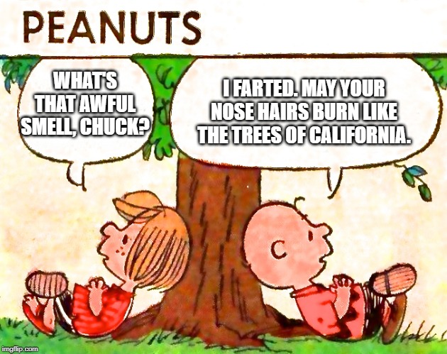 Peanuts Charlie Brown Peppermint Patty |  I FARTED. MAY YOUR NOSE HAIRS BURN LIKE THE TREES OF CALIFORNIA. WHAT'S THAT AWFUL SMELL, CHUCK? | image tagged in peanuts charlie brown peppermint patty,fart,fart jokes,california fires,peanuts,charlie brown | made w/ Imgflip meme maker