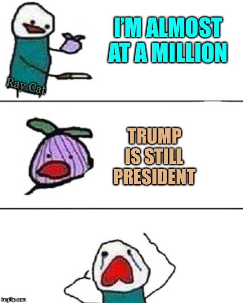 this onion won't make me cry | I’M ALMOST AT A MILLION; Ray.Cat; TRUMP IS STILL PRESIDENT | image tagged in this onion won't make me cry,memes | made w/ Imgflip meme maker