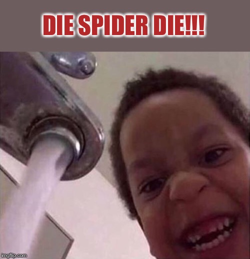 The look says it all. | DIE SPIDER DIE!!! | image tagged in spider,drown,phobia,memes,funny | made w/ Imgflip meme maker