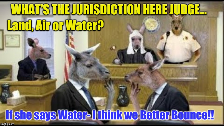 What's with that Gold Fringe? | Land, Air or Water? WHAT'S THE JURISDICTION HERE JUDGE... If she says Water- I think we Better Bounce!! | image tagged in kangeroo court,waterboy,it's treason then,bounce,john wayne american flag,the great awakening | made w/ Imgflip meme maker