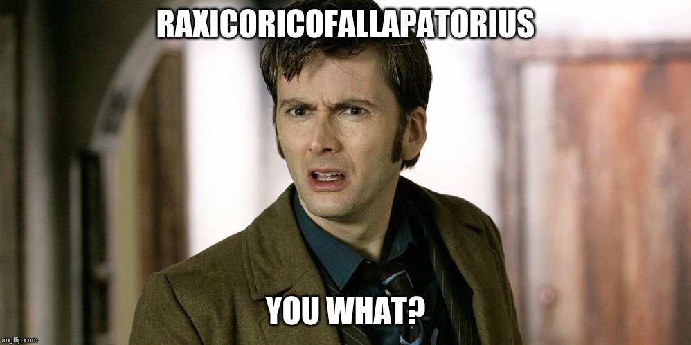 Confusion | RAXICORICOFALLAPATORIUS; YOU WHAT? | image tagged in dr who | made w/ Imgflip meme maker