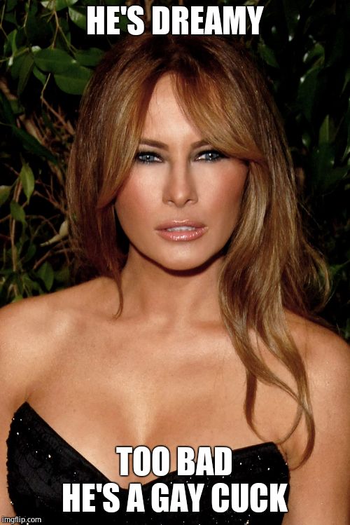 melania trump | HE'S DREAMY TOO BAD HE'S A GAY CUCK | image tagged in melania trump | made w/ Imgflip meme maker