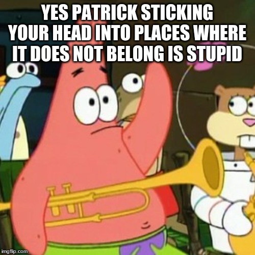 No Patrick Meme | YES PATRICK STICKING YOUR HEAD INTO PLACES WHERE IT DOES NOT BELONG IS STUPID | image tagged in memes,no patrick | made w/ Imgflip meme maker