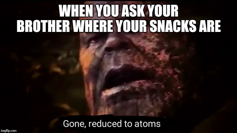 Thanos gone, reduced to atoms | WHEN YOU ASK YOUR BROTHER WHERE YOUR SNACKS ARE | image tagged in thanos gone reduced to atoms | made w/ Imgflip meme maker