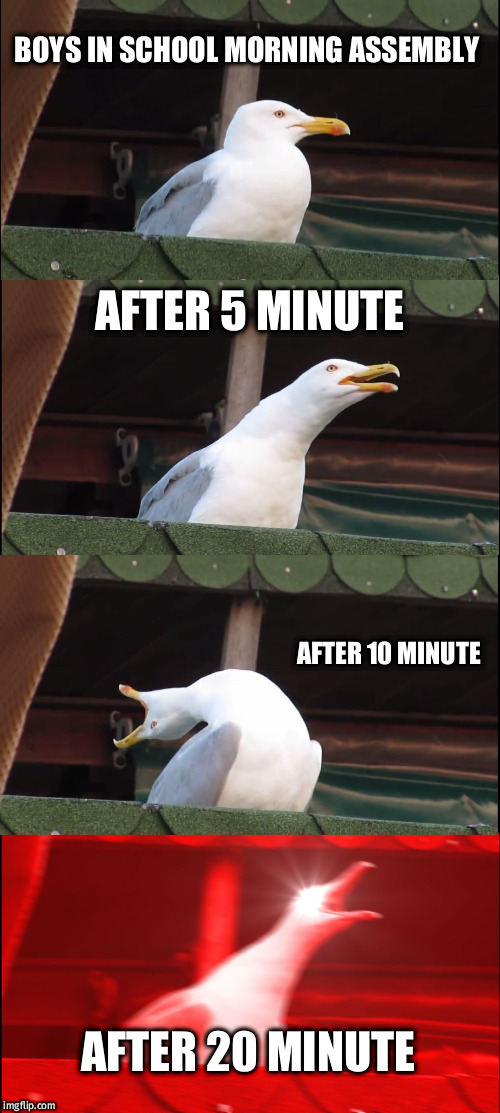 Inhaling Seagull Meme | BOYS IN SCHOOL MORNING ASSEMBLY; AFTER 5 MINUTE; AFTER 10 MINUTE; AFTER 20 MINUTE | image tagged in memes,inhaling seagull | made w/ Imgflip meme maker