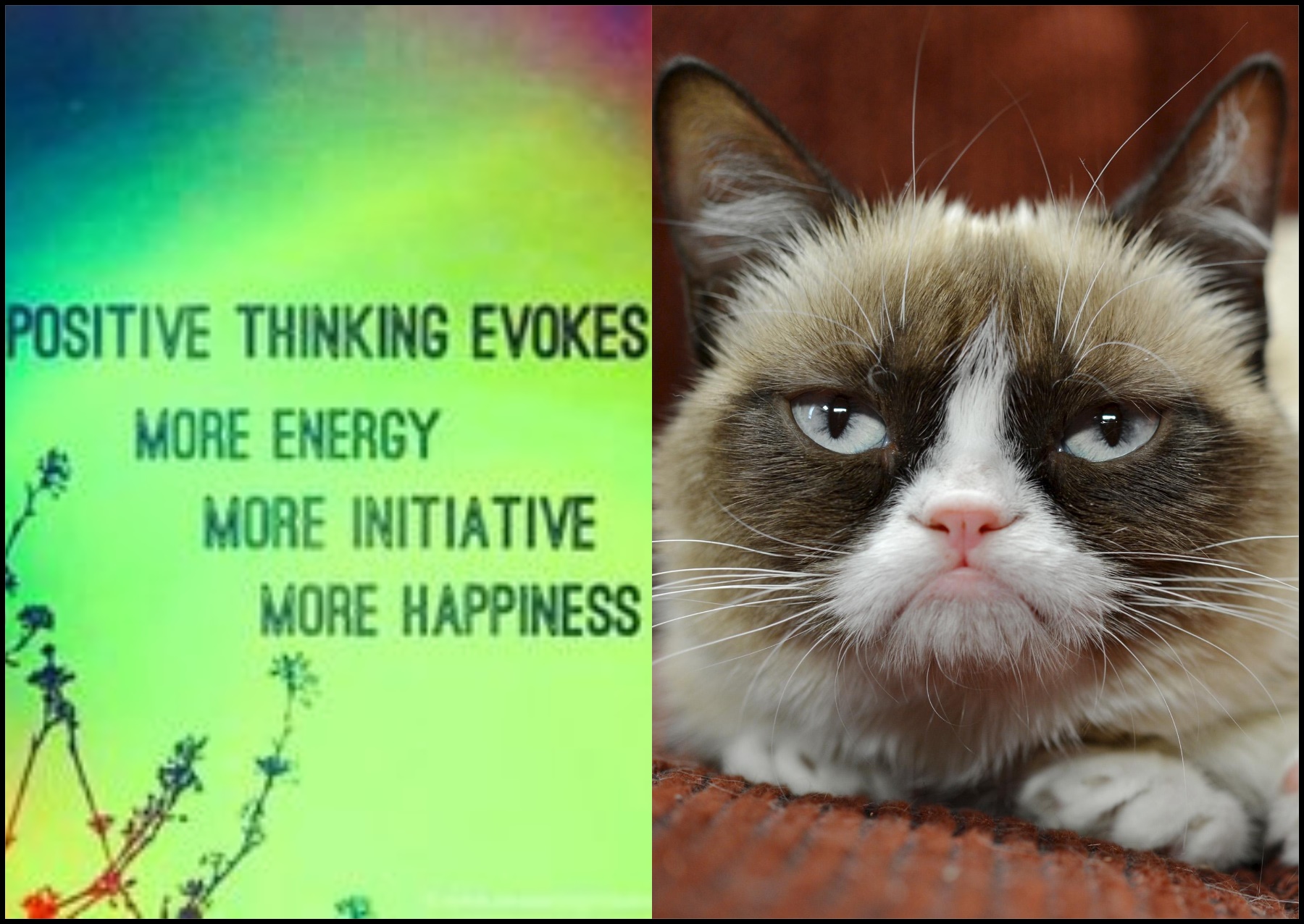 High Quality GRUMPY VS POSITIVE THOUGHTS Blank Meme Template