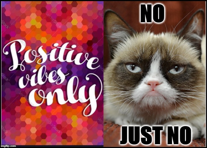 GRUMPY VS VIBES | NO; JUST NO | image tagged in grumpy vs vibes | made w/ Imgflip meme maker