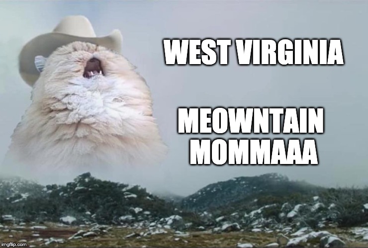 Take me home... | WEST VIRGINIA; MEOWNTAIN 
MOMMAAA | image tagged in screaming cowboy cat | made w/ Imgflip meme maker