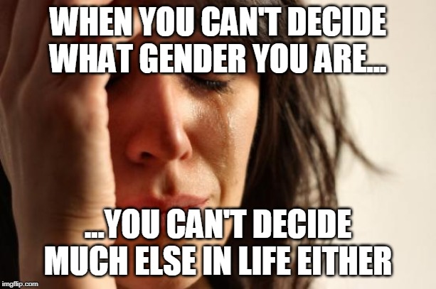 First World Problems | WHEN YOU CAN'T DECIDE WHAT GENDER YOU ARE... ...YOU CAN'T DECIDE MUCH ELSE IN LIFE EITHER | image tagged in memes,first world problems | made w/ Imgflip meme maker