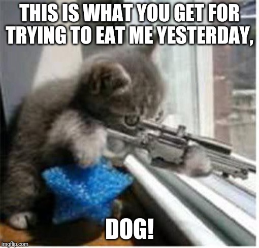 cats with guns | THIS IS WHAT YOU GET FOR TRYING TO EAT ME YESTERDAY, DOG! | image tagged in cats with guns | made w/ Imgflip meme maker
