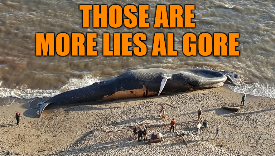 THOSE ARE MORE LIES AL GORE | made w/ Imgflip meme maker