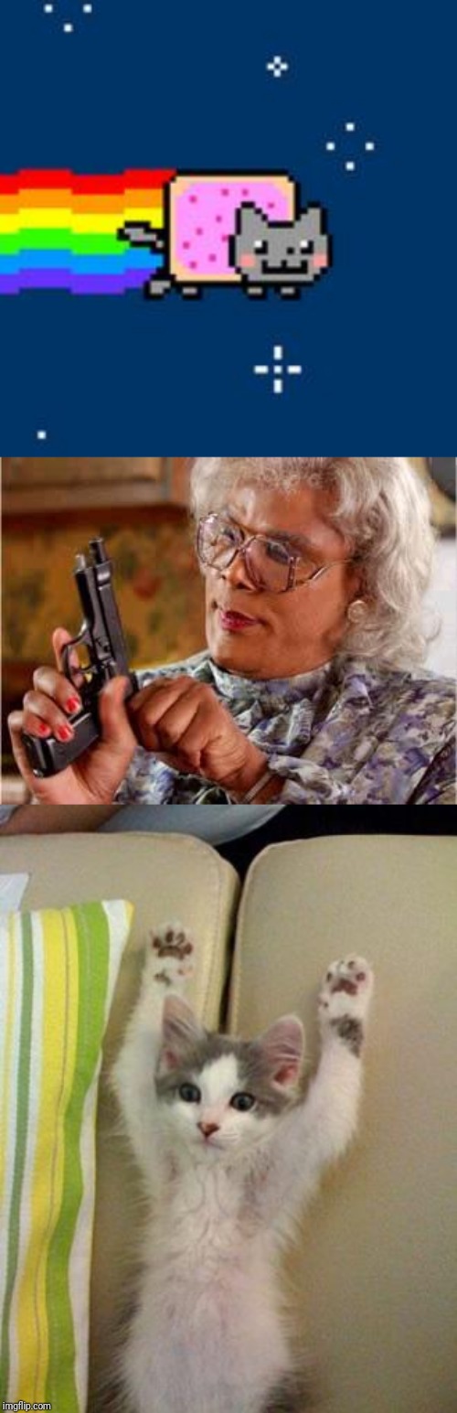 image tagged in madea with gun,hands up kitten,nyan cat | made w/ Imgflip meme maker