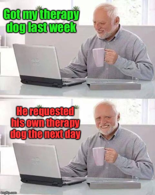 And that one requested a therapy dog the 2nd day | Got my therapy dog last week; He requested his own therapy dog the next day | image tagged in memes,hide the pain harold,therapy dog,dog for the dog,funny memes | made w/ Imgflip meme maker