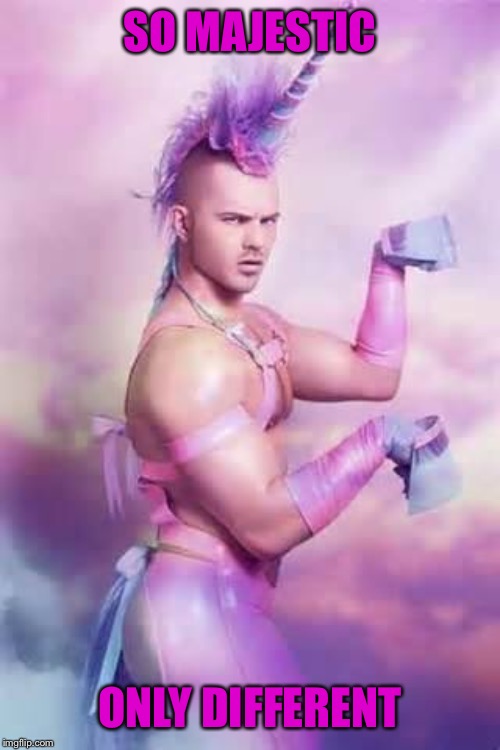 Gay Unicorn | SO MAJESTIC ONLY DIFFERENT | image tagged in gay unicorn | made w/ Imgflip meme maker