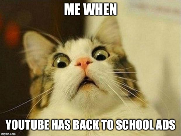 Scared Cat | ME WHEN; YOUTUBE HAS BACK TO SCHOOL ADS | image tagged in memes,scared cat | made w/ Imgflip meme maker