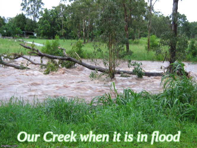 Our Creek when it is in flood | Our Creek when it is in flood | image tagged in memes,creek,flooded creek | made w/ Imgflip meme maker