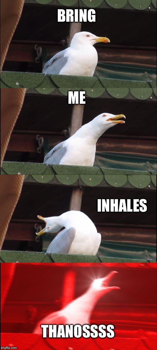 Inhaling Seagull | BRING; ME; INHALES; THANOSSSS | image tagged in memes,inhaling seagull | made w/ Imgflip meme maker