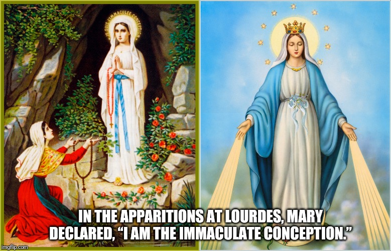 IN THE APPARITIONS AT LOURDES, MARY DECLARED, “I AM THE IMMACULATE CONCEPTION.” | made w/ Imgflip meme maker