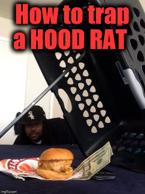 BUILD A BETTER TRAP | How to trap a HOOD RAT | image tagged in popeye's,chicken,in the hood | made w/ Imgflip meme maker