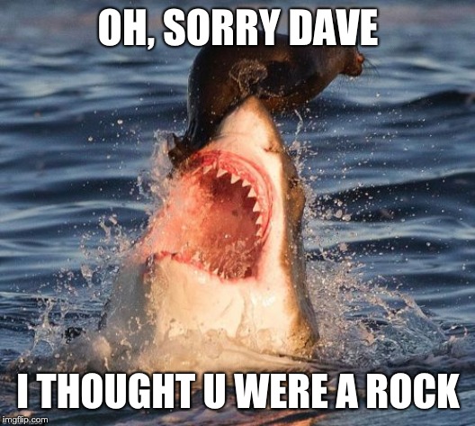 Travelonshark Meme | OH, SORRY DAVE; I THOUGHT U WERE A ROCK | image tagged in memes,travelonshark | made w/ Imgflip meme maker