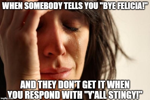 History Is Important | WHEN SOMEBODY TELLS YOU "BYE FELICIA!"; AND THEY DON'T GET IT WHEN YOU RESPOND WITH "Y'ALL STINGY!" | image tagged in memes,first world problems,friday,bye felicia,90s,classic movies | made w/ Imgflip meme maker