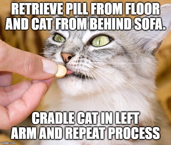 How to give a cat a pill | RETRIEVE PILL FROM FLOOR AND CAT FROM BEHIND SOFA. CRADLE CAT IN LEFT ARM AND REPEAT PROCESS | image tagged in cat | made w/ Imgflip meme maker