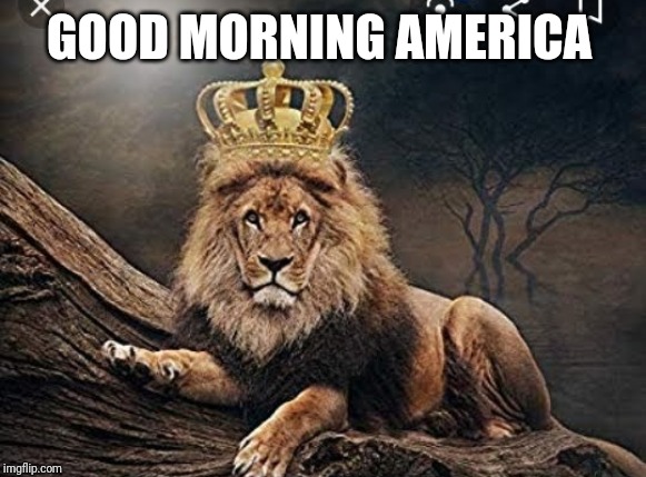 GOOD MORNING AMERICA | made w/ Imgflip meme maker