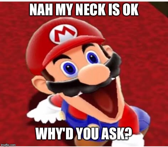 SUPER MARIO HAS A BROKEN NECK! | NAH MY NECK IS OK; WHY'D YOU ASK? | image tagged in mario,smg4 | made w/ Imgflip meme maker