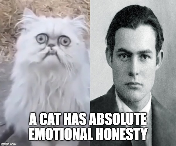 Ernest Hemingway | A CAT HAS ABSOLUTE EMOTIONAL HONESTY | image tagged in quotes | made w/ Imgflip meme maker