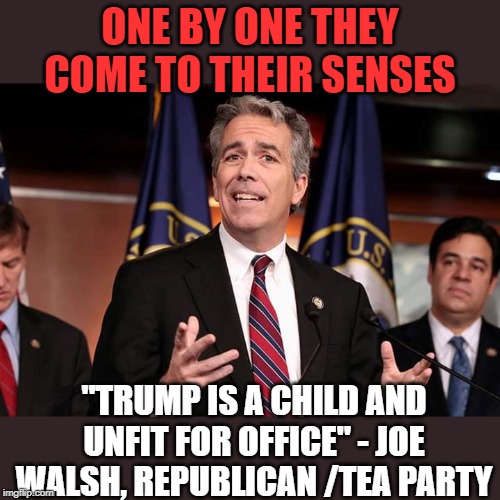 Its so obvious, even a republican can see it. | ONE BY ONE THEY COME TO THEIR SENSES; "TRUMP IS A CHILD AND UNFIT FOR OFFICE" - JOE WALSH, REPUBLICAN /TEA PARTY | image tagged in joe walsh,impeach trump,memes,politics,maga,incompetence | made w/ Imgflip meme maker