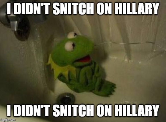 Kermit Shower | I DIDN'T SNITCH ON HILLARY I DIDN'T SNITCH ON HILLARY | image tagged in kermit shower | made w/ Imgflip meme maker