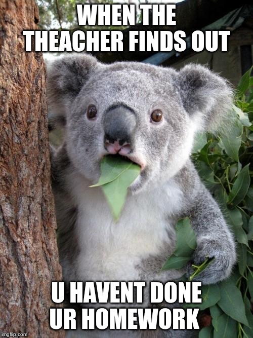 Surprised Koala Meme | WHEN THE THEACHER FINDS OUT; U HAVENT DONE UR HOMEWORK | image tagged in memes,surprised koala | made w/ Imgflip meme maker