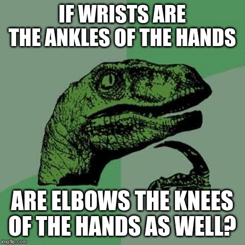 Philosoraptor Meme | IF WRISTS ARE THE ANKLES OF THE HANDS ARE ELBOWS THE KNEES OF THE HANDS AS WELL? | image tagged in memes,philosoraptor | made w/ Imgflip meme maker