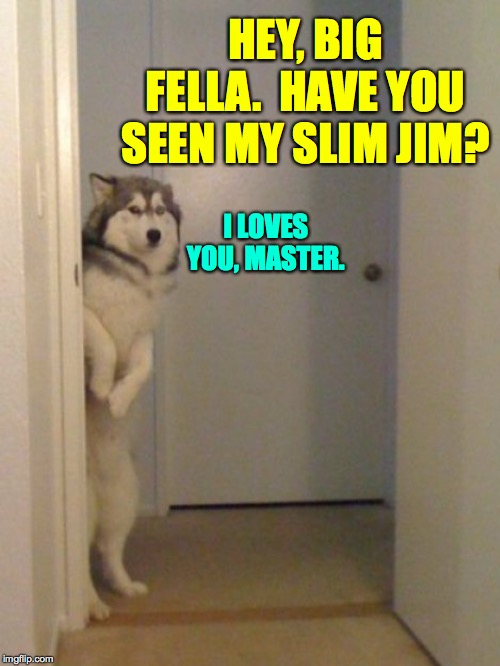 When your roommate eats your food  ( : | HEY, BIG FELLA.  HAVE YOU SEEN MY SLIM JIM? I LOVES YOU, MASTER. | image tagged in memes,scared standing dog,roommates,is nothing sacred | made w/ Imgflip meme maker