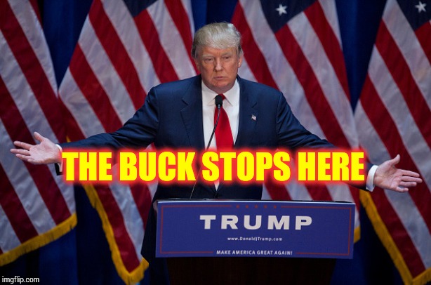 He Can Blame Whomever He Wants For The Mess He's Turned America Into But ... | THE BUCK STOPS HERE | image tagged in donald trump,trump unfit unqualified dangerous,liar in chief,lock him up,memes,mental instabilities | made w/ Imgflip meme maker