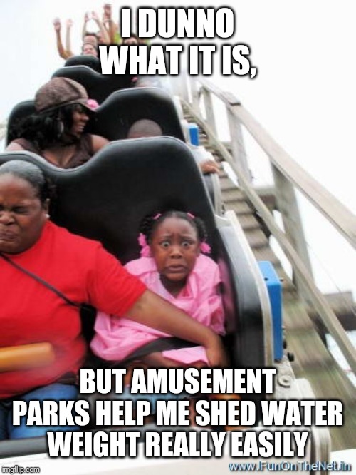 Rollercoaster | I DUNNO WHAT IT IS, BUT AMUSEMENT PARKS HELP ME SHED WATER WEIGHT REALLY EASILY | image tagged in rollercoaster | made w/ Imgflip meme maker