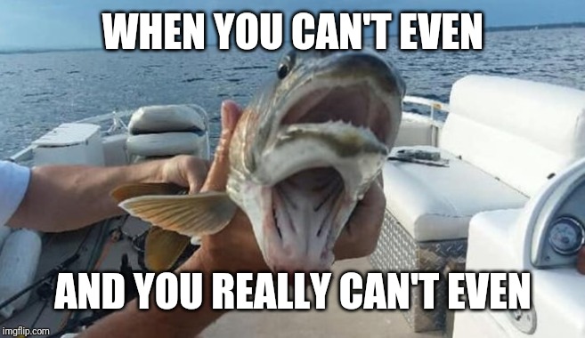 WHEN YOU CAN'T EVEN; AND YOU REALLY CAN'T EVEN | made w/ Imgflip meme maker