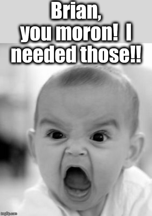 Angry Baby Meme | Brian, you moron!  I needed those!! | image tagged in memes,angry baby | made w/ Imgflip meme maker