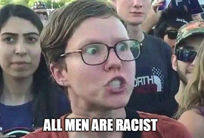 Triggered Liberal | ALL MEN ARE RACIST | image tagged in triggered liberal | made w/ Imgflip meme maker