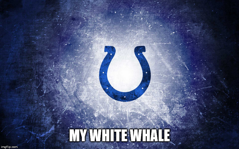 Indy colts | MY WHITE WHALE | image tagged in indy colts | made w/ Imgflip meme maker