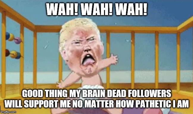 Trumpertantrum | WAH! WAH! WAH! GOOD THING MY BRAIN DEAD FOLLOWERS WILL SUPPORT ME NO MATTER HOW PATHETIC I AM | image tagged in trumpertantrum | made w/ Imgflip meme maker