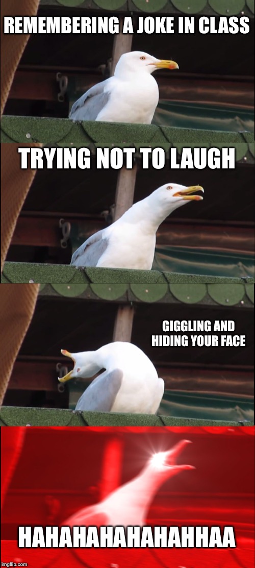 Inhaling Seagull | REMEMBERING A JOKE IN CLASS; TRYING NOT TO LAUGH; GIGGLING AND HIDING YOUR FACE; HAHAHAHAHAHAHHAA | image tagged in memes,inhaling seagull | made w/ Imgflip meme maker