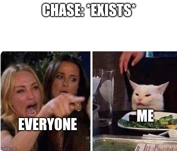 It's a good JoJo OP! | CHASE: *EXISTS*; EVERYONE; ME | image tagged in lady screams at cat,chase,jojo's bizarre adventure,everyone,me | made w/ Imgflip meme maker