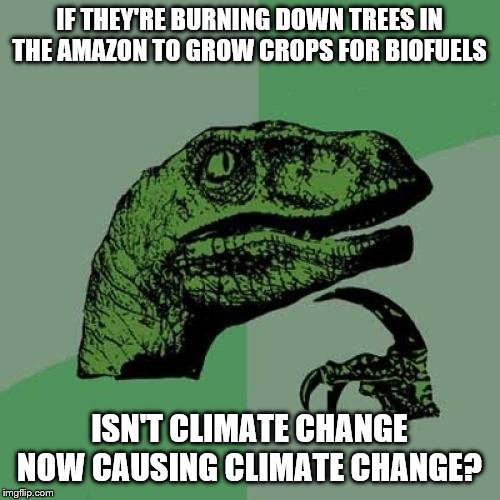 Philosoraptor Meme | IF THEY'RE BURNING DOWN TREES IN THE AMAZON TO GROW CROPS FOR BIOFUELS; ISN'T CLIMATE CHANGE NOW CAUSING CLIMATE CHANGE? | image tagged in memes,philosoraptor | made w/ Imgflip meme maker